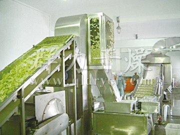 Dehydrated Vegetables Belt Dryer